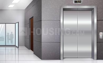 Project Images