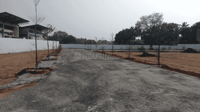 Project Images
