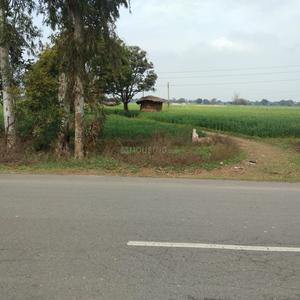 Project Image of 450.0 - 10350.0 Sq.ft Residential Plot Plot for buy in Shubham Jewar City