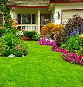 Eeshani Vanagopal Enclave Flower Garden 1