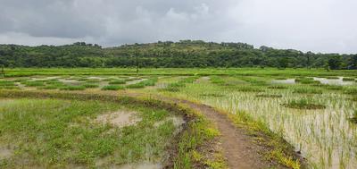 Project Image of 1000.0 - 10000.0 Sq.ft Residential Plot Plot for buy in Bhoomi Plots