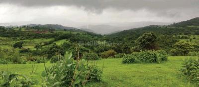 Project Image of 1000.0 - 3000.0 Sq.ft Residential Plot Plot for buy in Bhoomi Plots In Dhokshet