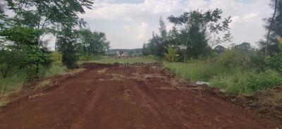 iMark Harmony Amenities 3