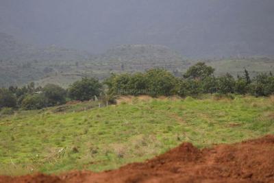 Project Image of 3500.0 - 10000.0 Sq.ft Residential Plot Plot for buy in Clover Windermere