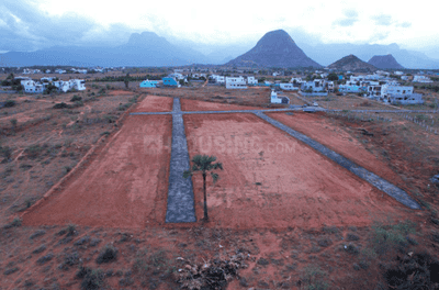 Project Images
