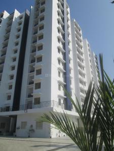 Project Image of 1250.0 - 1505.0 Sq.ft 2 BHK Apartment for buy in Confident Bellatrix Phase 3