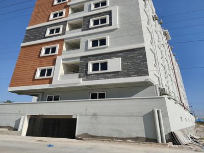 BS Habitat Elevation 1