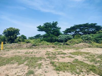 Project Image of 0.0 - 2400.0 Sq.ft Residential Plot Plot for buy in Casagrand Palm Meadows