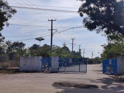 Project Image of 0.0 - 1350.0 Sq.ft Residential Plot Plot for buy in  Sarala Vihar