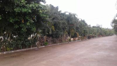Project Image of 1050.0 - 4800.0 Sq.ft Residential Plot Plot for buy in NBR Meadows
