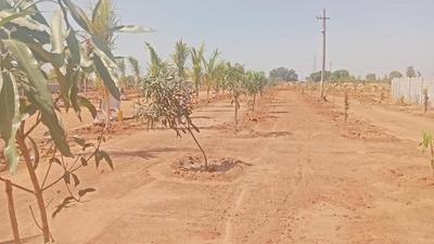 Project Image of 1350.0 - 1800.0 Sq.ft Residential Plot Plot for buy in AVM Keertika Farms