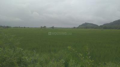 Project Image of 1000.0 - 10000.0 Sq.ft Residential Plot Plot for buy in Towncity Plots in Karjat