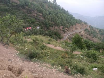 Project Image of 1800.0 - 2700.0 Sq.ft Residential Plot Plot for buy in Plot In Mukteshwar