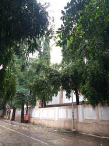 Project Image of 1300.0 - 3000.0 Sq.ft 2 BHK Apartment for buy in Atul Kala Kunj