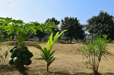 Project Image of 1200.0 - 4000.0 Sq.ft Residential Plot Plot for buy in MRR Horizon