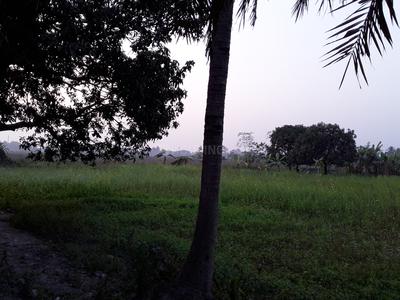 Project Image of 750.0 - 18191.0 Sq.ft Residential Plot Plot for buy in Debrupayan De Nature Plot