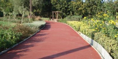 Project Image of 0.0 - 9072.0 Sq.ft Residential Plot Plot for buy in Sawera Country Farm