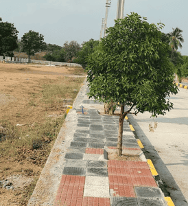 Project Image of 1388.54 - 5661.82 Sq.ft Residential Plot Plot for buy in Royal Rise County