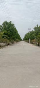 Project Image of 1280.0 - 7584.0 Sq.ft Residential Plot Plot for buy in Prakriti Shikara