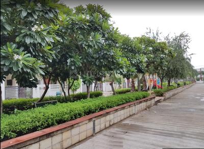 Project Image of 800.0 - 1091.0 Sq.ft 3 BHK Villa for buy in Soumya Tulip Green
