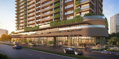 Pristine Amore Elevation 2