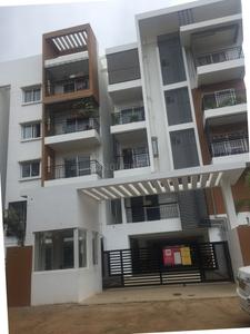 Hilife Triflora Elv3.jpg 1