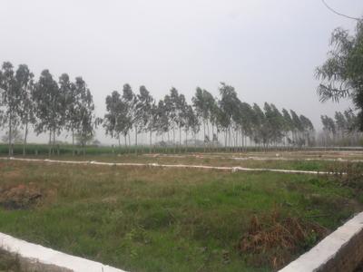 Project Images