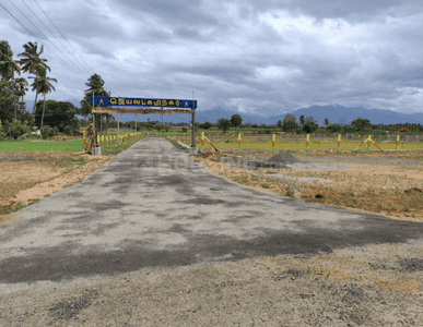 Project Images
