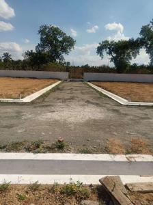 Project Images