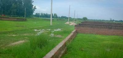 Project Image of 1000.0 - 2000.0 Sq.ft Residential Plot Plot for buy in JMD Residency Phase1