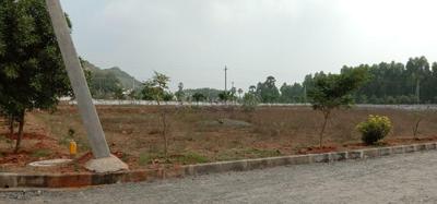 Project Image of 809.98 - 2600.02 Sq.ft Residential Plot Plot for buy in Siri Venkateswara Nandanavanam Prasiddha