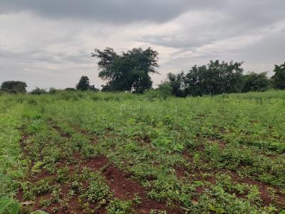Project Image of 2700.0 - 10800.0 Sq.ft Residential Plot Plot for buy in Creos The Roots
