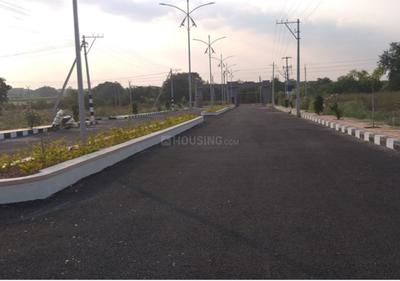 Project Image of 1215.03 - 6228.0 Sq.ft Residential Plot Plot for buy in Tricolour Brown Valley