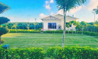Project Image of 11250.0 - 45000.0 Sq.ft Residential Plot Plot for buy in Novel Organic Farms
