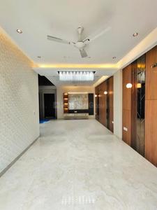 Project Images