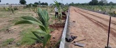 Project Image of 1800.0 - 3267.0 Sq.ft Residential Plot Plot for buy in Yadadri Sunrise County