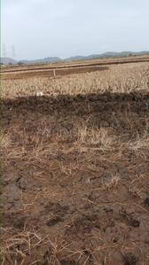 Project Image of 1089.0 - 5445.0 Sq.ft Residential Plot Plot for buy in Propzone Residential Plots In Ranjanpada Navi Mumbai