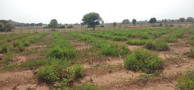 Project Image of 8028.0 - 21609.0 Sq.ft Residential Plot Plot for buy in Vardhan Prakruthi Vanam