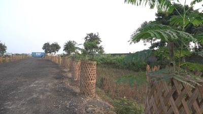 Project Image of 750.0 - 2200.0 Sq.ft Residential Plot Plot for buy in BARSANA THE CITY OF RADHA RANI