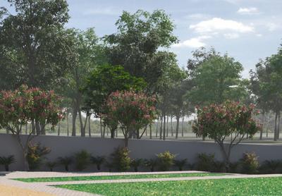 KNS Amora Landscape Garden and Tree Planting 3