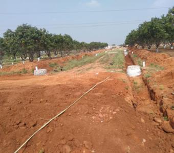 Project Image of 1625.35 - 20031.64 Sq.ft Residential Plot Plot for buy in Varunis Hallmark Ecity