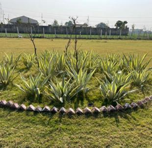 Project Image of 900.0 - 1800.0 Sq.ft Residential Plot Plot for buy in Gulmohar Garden