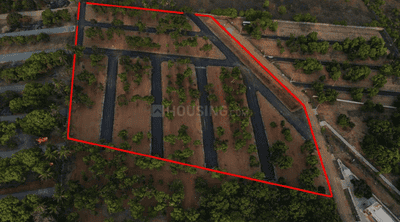 Project Images
