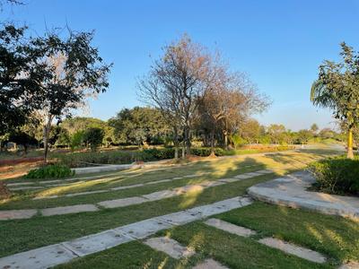 Project Image of 4800.0 - 6000.0 Sq.ft Residential Plot Plot for buy in The Ampelon 2