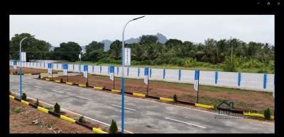 Project Image of 800.0 - 1514.37 Sq.ft Residential Plot Plot for buy in JMJ Amirtham Avenue