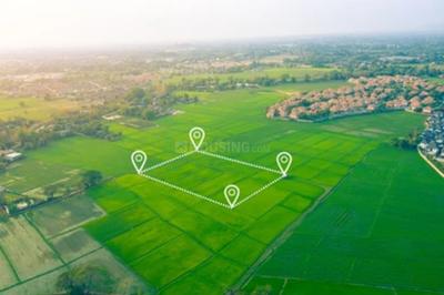 Project Image of 600.0 - 2400.0 Sq.ft Residential Plot Plot for buy in Adarva Madhavaram New Town