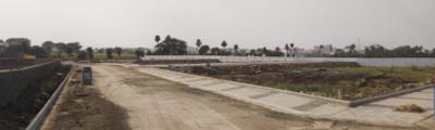 Project Images