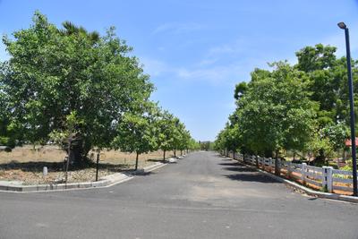 Project Image of 1502.0 - 2515.0 Sq.ft Residential Plot Plot for buy in Akshaya Sangamam
