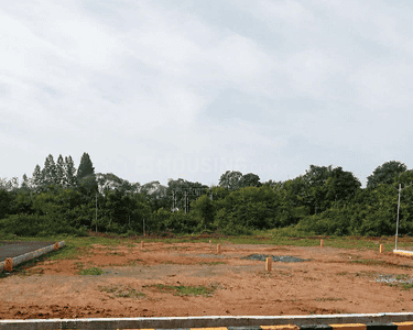 Project Images