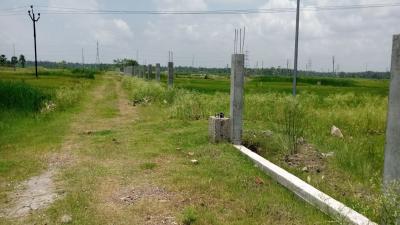 Project Image of 1440.0 - 7200.0 Sq.ft Residential Plot Plot for buy in Bashbhumi Green View